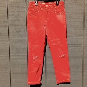 Pilcro red jeans